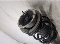31326764457, 31326764458 Амортизатор подвески BMW 5 E60 2003-2010 20433490 #5
