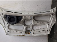  Капот Iveco Daily 4 2005-2011 20433907 #4