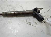13537805428 Форсунка топливная BMW 7 F01 2008-2015 20434180 #1