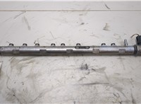 13537805423, 7805423 Рампа (рейка) топливная BMW 7 F01 2008-2015 20434182 #1