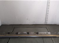 A22169002409999 Накладка на порог Mercedes S W221 2005-2013 20434712 #5