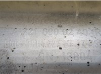 A22169002409999 Накладка на порог Mercedes S W221 2005-2013 20434712 #7