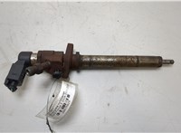9657144580 Форсунка топливная Ford Focus 2 2008-2011 20435025 #1