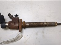 9657144580 Форсунка топливная Ford Focus 2 2008-2011 20435026 #1