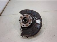  Ступица (кулак, цапфа) Volkswagen Golf 6 2009-2012 20435456 #1