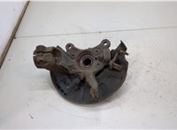  Ступица (кулак, цапфа) Volkswagen Golf 6 2009-2012 20435456 #2