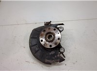  Ступица (кулак, цапфа) Volkswagen Golf 6 2009-2012 20435462 #1
