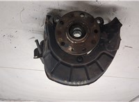 1K0407256AA, 1K0407621F Ступица (кулак, цапфа) Volkswagen Golf 6 2009-2012 20435462 #4