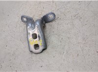  Петля двери Buick Envision 2020-2025 20436364 #1