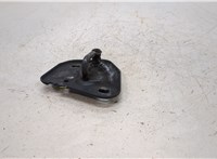  Петля замка капота Audi A6 (C7) 2011-2018 20436524 #2