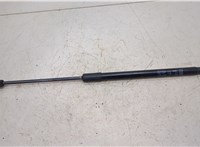 Амортизатор капота Buick Envision 2020-2025 20436588 #1