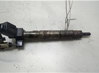 13537823461 Форсунка топливная BMW 5 F10 2010-2017 20436957 #1