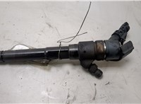  Форсунка топливная KIA Sportage 2004-2010 20437231 #1