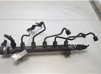  Рампа (рейка) топливная KIA Sportage 2004-2010 20437233 #1