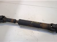 491003E420 Кардан KIA Sorento 2002-2009 20438030 #1