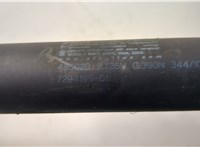  Амортизатор крышки багажника BMW X5 E70 2006-2013 20438184 #3