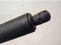  Амортизатор крышки багажника BMW X5 E70 2006-2013 20438184 #4