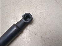 51248171480 Амортизатор крышки багажника BMW 7 E38 1994-2001 20438517 #3