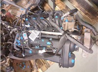 1362652, 4M513A696AD Насос гидроусилителя руля (ГУР) Ford Focus 2 2005-2008 11414161 #2