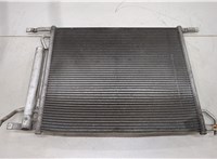  Радиатор кондиционера Chevrolet Aveo (T250 / 255) 2006-2012 20438705 #1