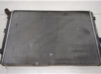  Радиатор охлаждения двигателя Volkswagen Golf 5 2003-2009 20438805 #1