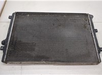  Радиатор охлаждения двигателя Volkswagen Golf 5 2003-2009 20438805 #3