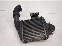  Радиатор интеркулера Hyundai Tucson 1 2004-2009 20439200 #1