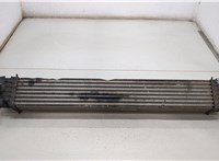  Радиатор интеркулера Citroen Jumper (Relay) 2014-2025 20439204 #1