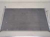  Радиатор кондиционера Ford Focus 1 1998-2004 20439206 #1