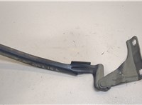  Петля капота Nissan Note E11 2006-2013 20439309 #1
