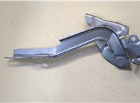  Петля капота Toyota Highlander 2 2007-2013 20439441 #3