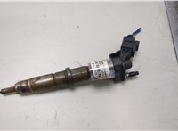  Форсунка топливная Volkswagen Crafter 2006-2016 20439821 #1