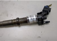  Форсунка топливная Volkswagen Crafter 2006-2016 20439822 #2