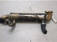  Охладитель отработанных газов Volkswagen Crafter 2006-2016 20439823 #1