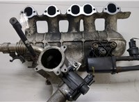  Коллектор впускной Volkswagen Crafter 2006-2016 20439833 #1