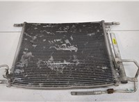  Радиатор кондиционера Chevrolet Aveo (T250 / 255) 2006-2012 20440138 #4