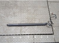 7339431 Амортизатор крышки багажника BMW X4 F26 2014-2018 20440647 #1