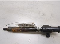2407504, 9674984080, 28602948 Форсунка топливная Ford Kuga 2016-2019 20441569 #1