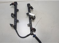  Форсунка топливная Dodge Journey 2011-2020 20443252 #1