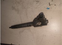 0445110121 Форсунка топливная Mercedes C W203 2000-2007 20443864 #1