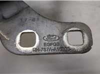  Петля капота Ford Mondeo 4 2007-2015 20444215 #2