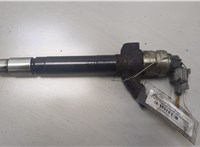 6C1Q9K546AC Форсунка топливная Ford Transit 2006-2014 20445813 #1