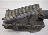  Корпус воздушного фильтра Volkswagen Golf 4 1997-2005 20445838 #1
