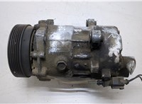  Компрессор кондиционера Volkswagen Golf 4 1997-2005 20446065 #1