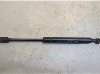 654713JA0A Амортизатор капота Infiniti QX60 2013-2016 20446197 #1