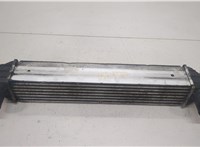 Радиатор интеркулера Chevrolet Captiva 2006-2011 20447075 #1