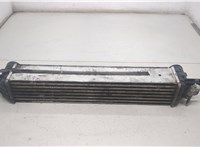  Радиатор интеркулера Chevrolet Captiva 2006-2011 20447075 #2