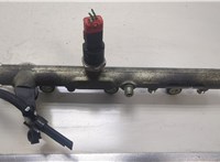  Рампа (рейка) топливная Peugeot 406 1999-2004 20447101 #1