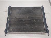 214103ZU0A Радиатор охлаждения двигателя Nissan Juke 2010-2019 20447149 #1