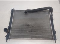 214103ZU0A Радиатор охлаждения двигателя Nissan Juke 2010-2019 20447149 #2